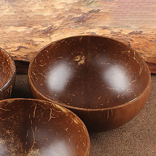 Natural Coconut Shell Bowl Eco-friendly Bowls