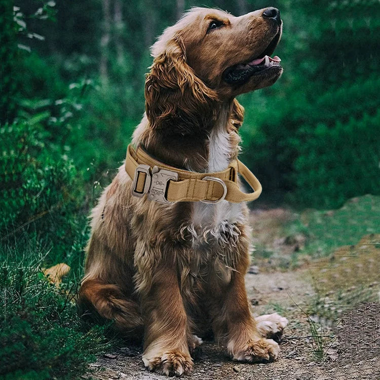 Tactical Outdoor Traction Malinois Golden Retriever/German Shepherd Dog Collar