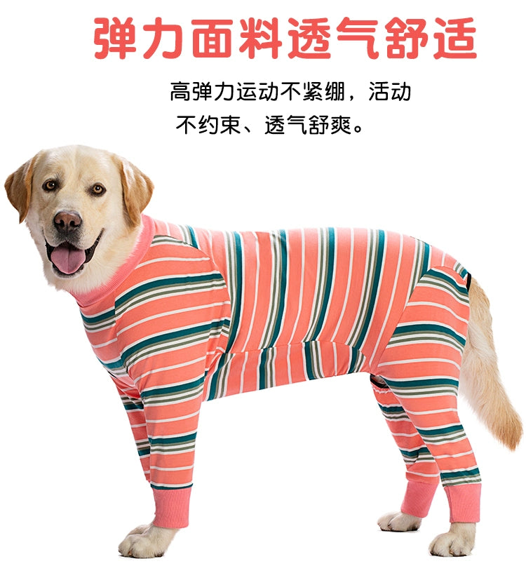 Large Labrador Samo Bellyband Dog Clothes