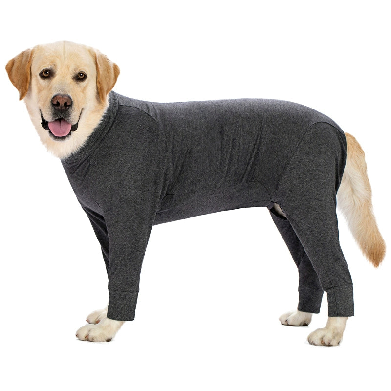 Large Labrador Samo Bellyband Dog Clothes