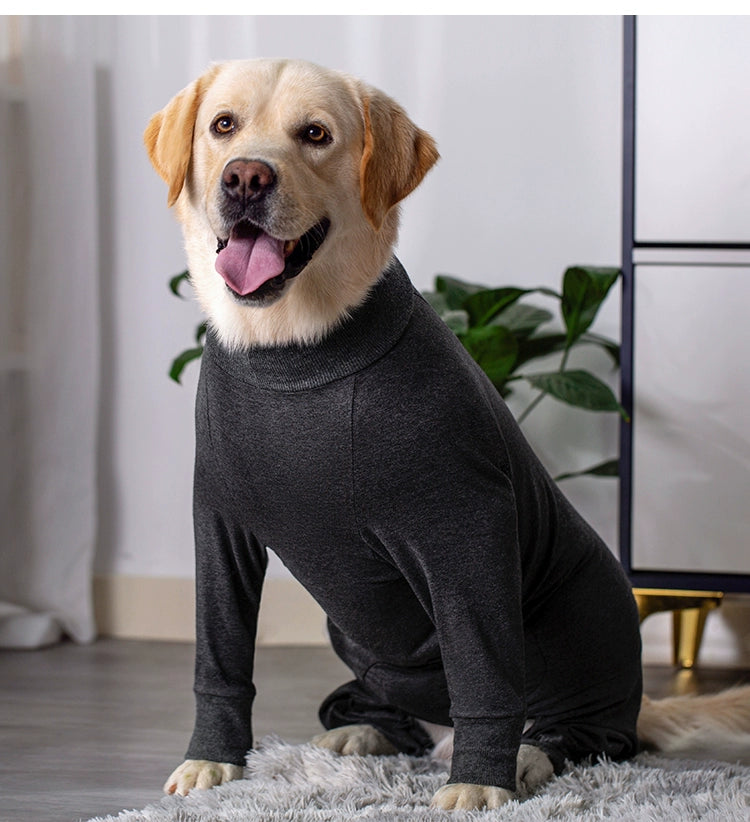 Large Labrador Samo Bellyband Dog Clothes