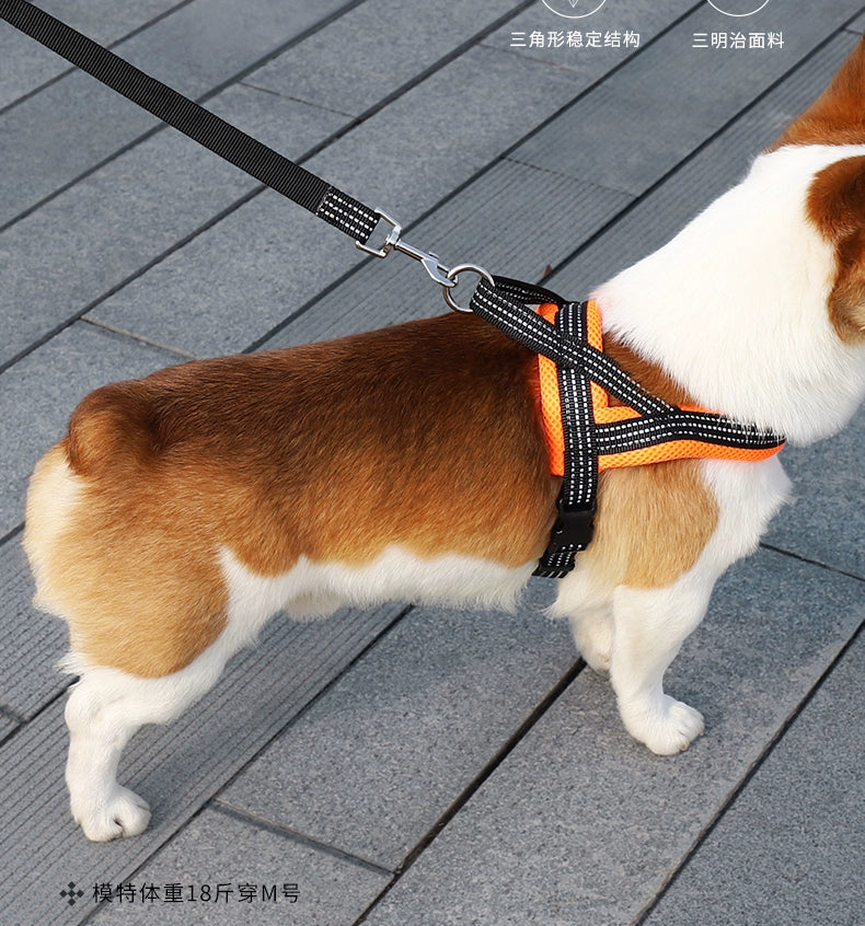 Teddy Chest and Back Collar Medium-Sized Dog Rope