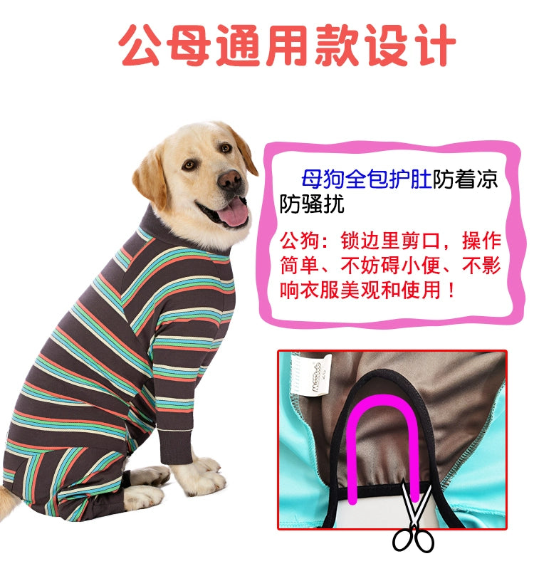 Large Labrador Samo Bellyband Dog Clothes