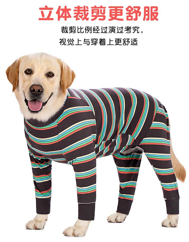 Large Labrador Samo Bellyband Dog Clothes