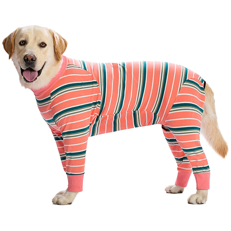 Large Labrador Samo Bellyband Dog Clothes