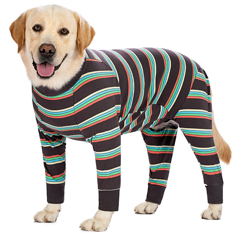 Large Labrador Samo Bellyband Dog Clothes