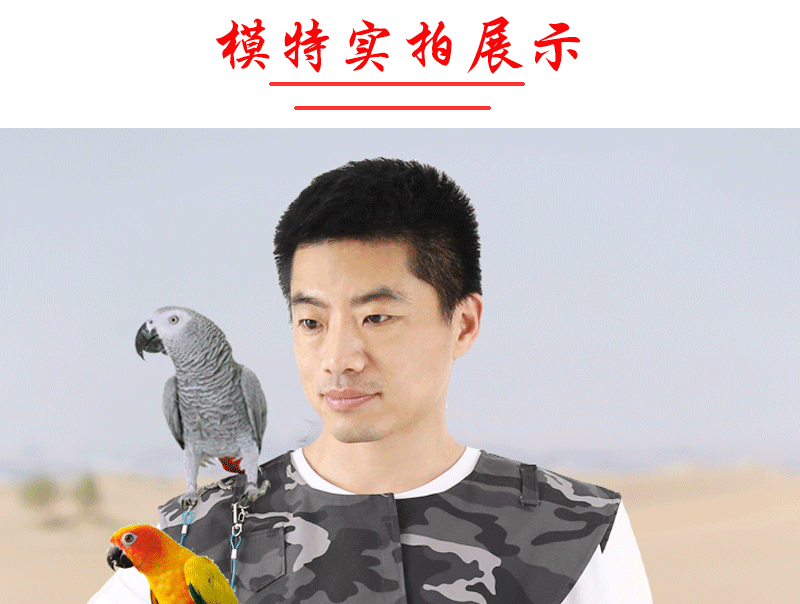 Variety Pet Clothes Parrot Clothes Flight Suit Xuanfeng Baby Diapers Shit Pocket Diaper Shawl Shoulder Pad Arm Guard Anti-Scratch