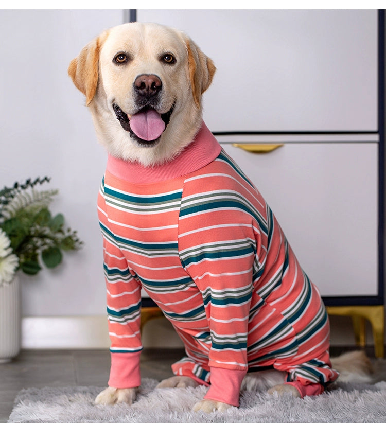 Large Labrador Samo Bellyband Dog Clothes