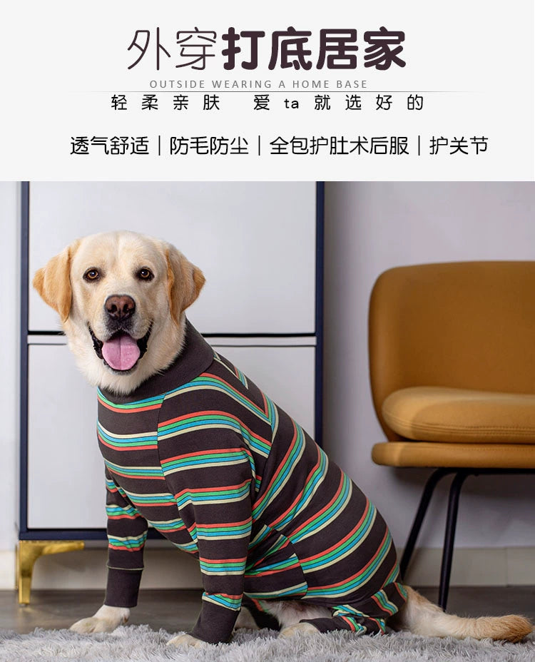 Large Labrador Samo Bellyband Dog Clothes